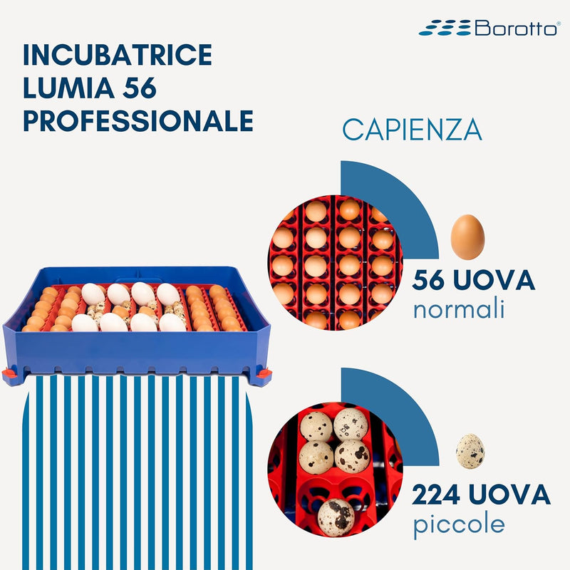 Borotto LUMIA 56 Automatica - Incubatrice per Uova Professionale Brevettata, con Girauova Automatico - per 56 Uova Medio/Grandi