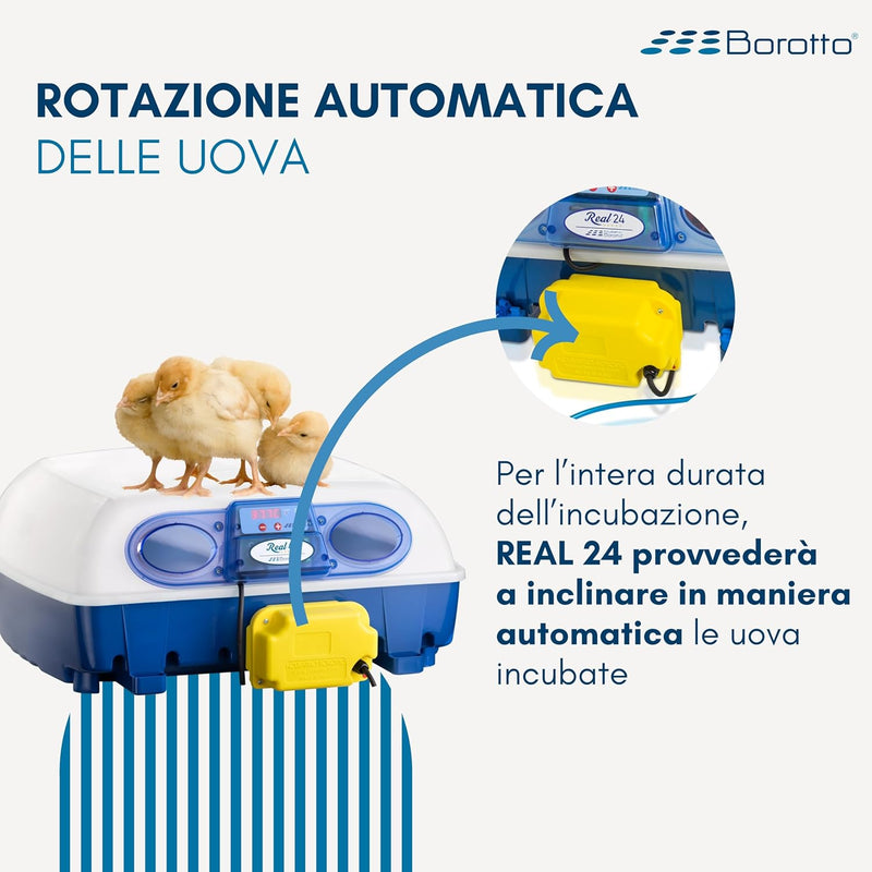 Borotto REAL 24 Expert - Incubatrice Automatica Professionale Brevettata, con Umidificatore Automatico Sirio - per 24 Uova o 96 Uova Piccole