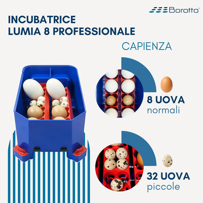 Borotto LUMIA 8 Automatica - Incubatrice per Uova Professionale Brevettata, con Girauova Automatico - per 8 Uova Medio/Grandi o 32 Uova Piccole