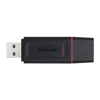 Memoria Pen Drive Kingston DataTraveler Exodia DTX/256 - USB 256 GB 3.2 Gen 1 - Nero/Rosa