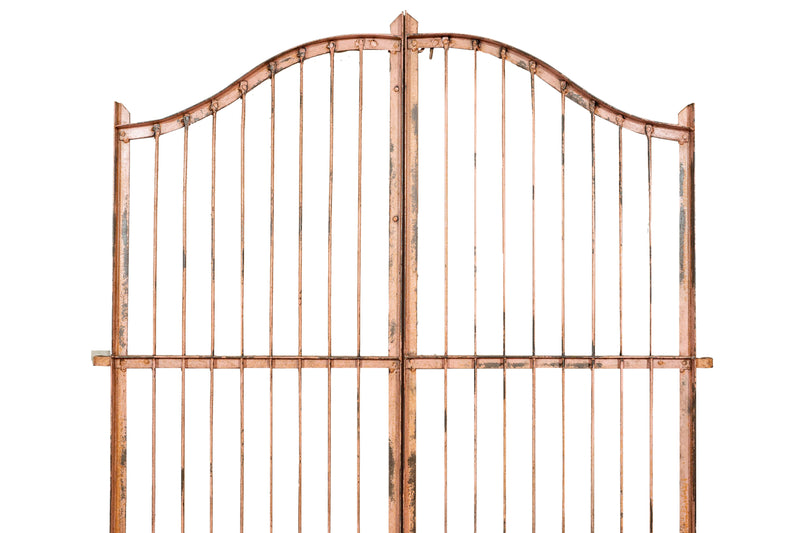 Biscottini Cancello in ferro finitura anticata Molto solido robusto Offerta Speciale