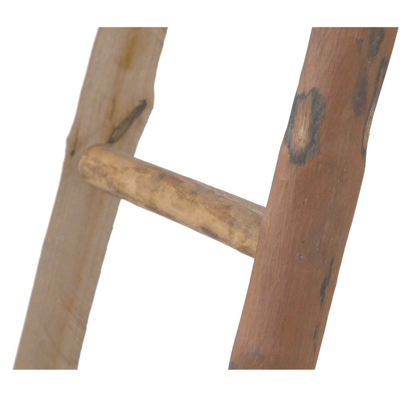 Biscottini Scala in legno 40x8x150 cm dimensioni Riproduce fedelmente L40xPR8xH150