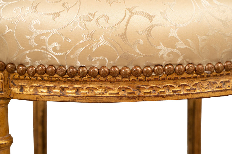 Biscottini Sedia poltrona stile francese Luigi XVI in legno massello di faggio poltroncina