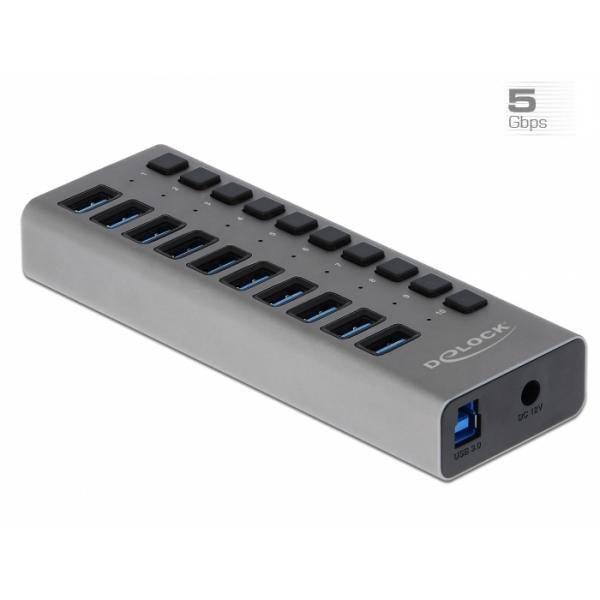 Delock Hub - 10 x SuperSpeed ??USB 3.0 - Desktop
