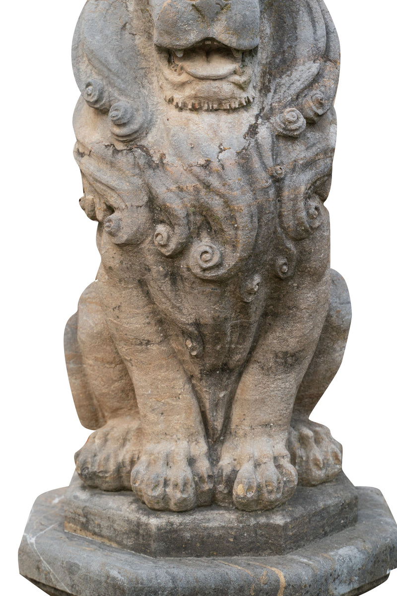 Biscottini Vecchia statua raffigurante una coppia di leoni in pietra Molto solida robusta