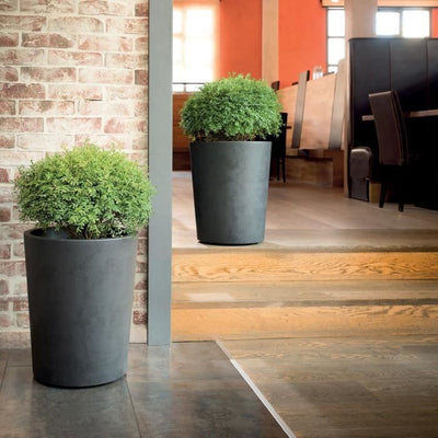 Vaso portafiori - DEROMA - Millennium R - Antracite - Con riserva d'acqua - Altezza - 53 cm