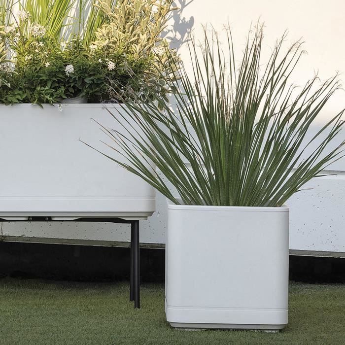 Vaso Cubo - DEROMA - Cosmo - Perla - Con riserva d&