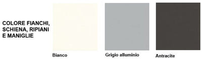 Contenitore per ufficio con 2 ante in melaminico in vari colori cm. 80x40x76h