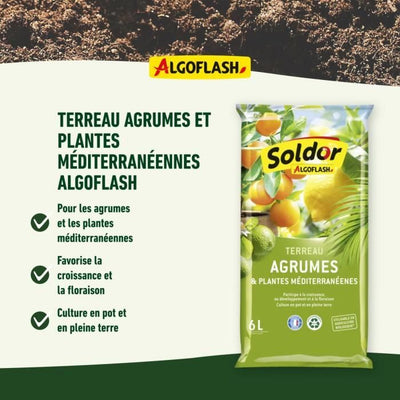 ALGOFLASH - Terreno Agrumi e Vegetali Mediterranei 6 L