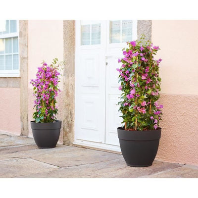 CAPRI CAMPANA CM 30 ANTRACITE