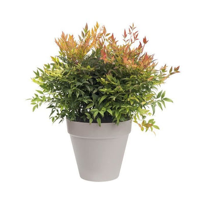 Vaso di fiori LU  30 cm