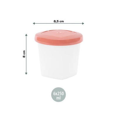 BabyMoov Conservation Pots Biosourcés - Lotto di 6x250ml