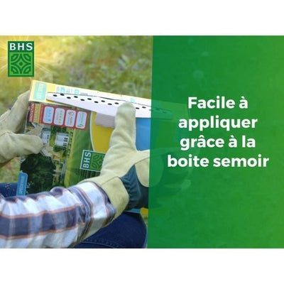 Dichondra - BHS - 300 g  25 m  Climi miti  Semi arricchiti con fertilizzante organico  Attecchimento rapido e uniforme.