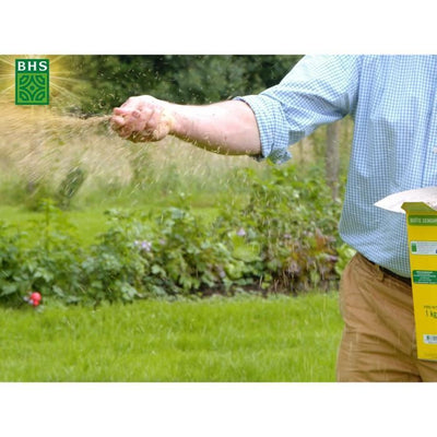 Prato - BHS - Seaside Lawn 3kg  Resistente al vento, alla siccità e al sale  Prato estivo bello, attraente e robusto.