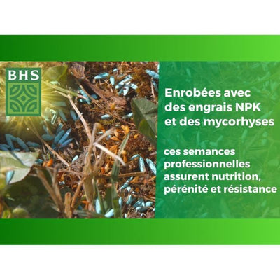 BHS English Turf - 3 kg per giardini di qualità