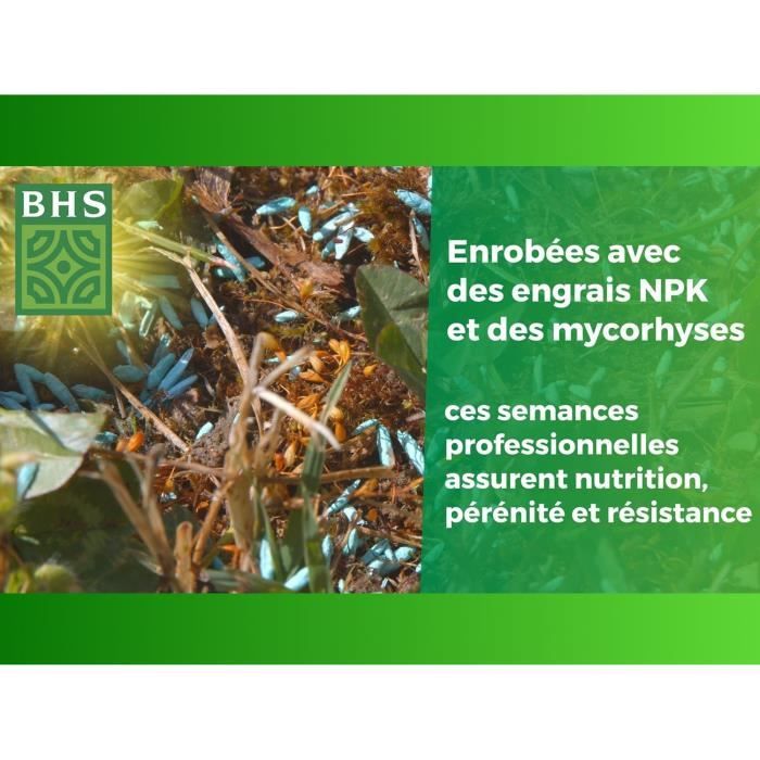 BHS English Turf - 3 kg per giardini di qualità