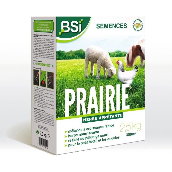 BSI - Semi di erba - Prato - Alta qualità - Ampia area - Fino a 375 m - 7,5 kg