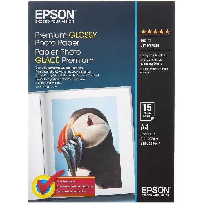 EPSON phot Paper C13S042169