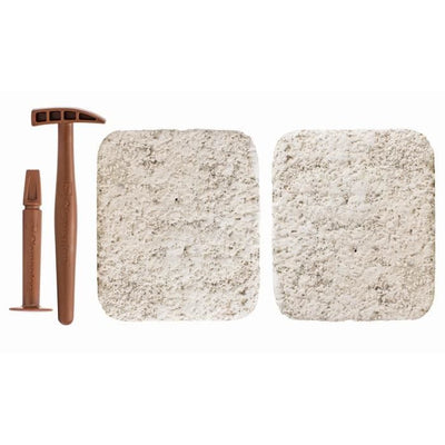 CLEMENTONI T-Rex e Trice