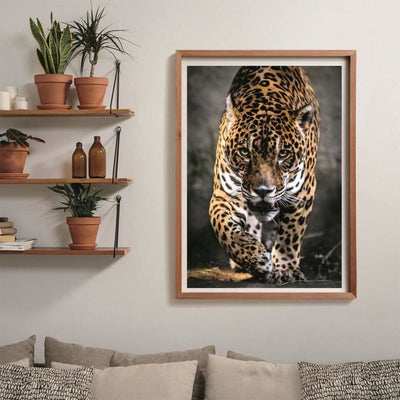 CLEMENTONI - Compact 1000 pezzi - La passeggiata del Giaguaro