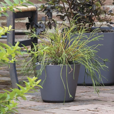 Vaso per fiori - DEROMA - Origin - 11 L - Grigio