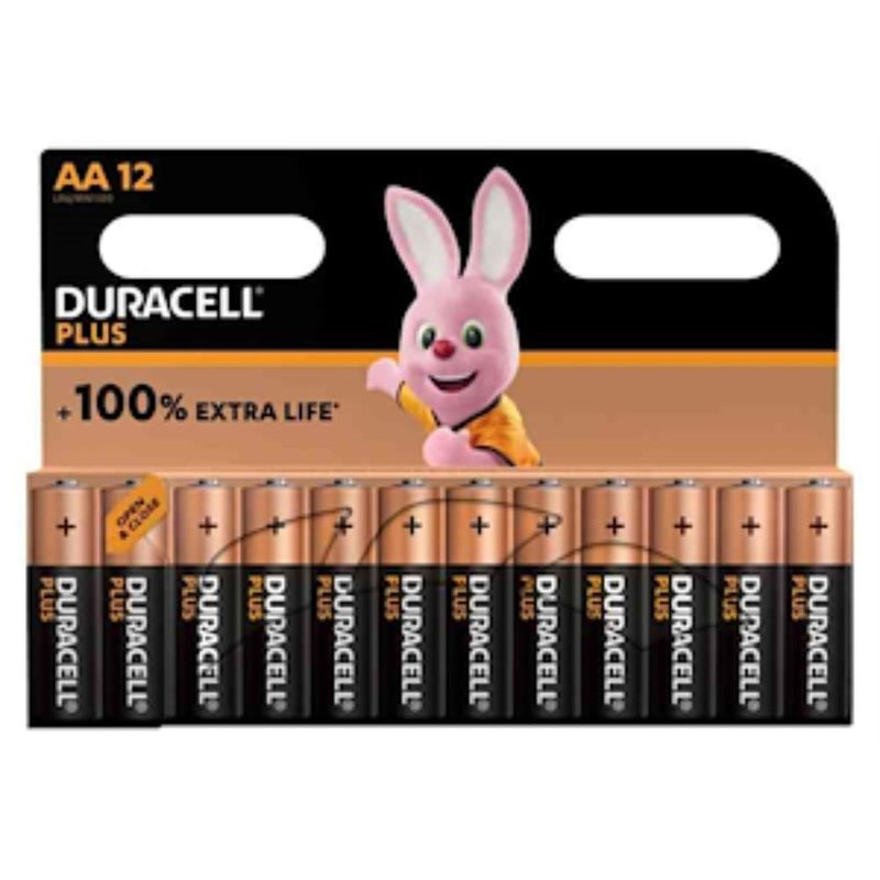 Duracell Plus100 Stilo Aa Blister 12Pz DU0121