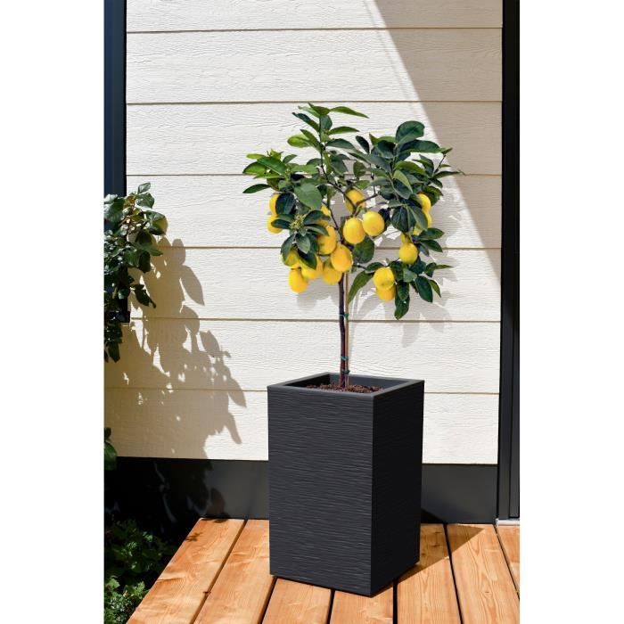 EDA Square Flower BAC High Graphit su - 36 L - 29,5 x 29,5 cm x 49,5 cm - grigio antracite