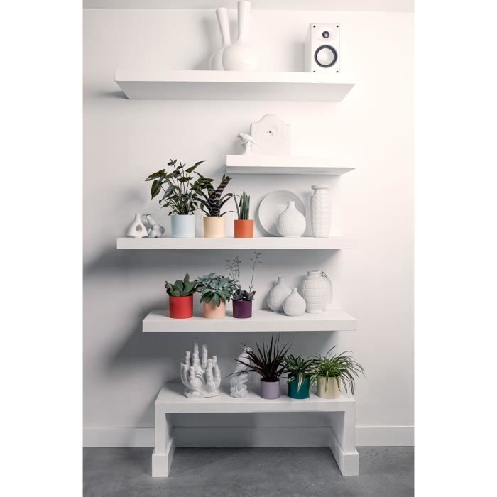 Vaso da fiori - Elho - Lex Pott - Set 14 - Blu Rosa Arancione - L 14 x P 13,8 x A 12 cm - Per interni - 100% riciclato