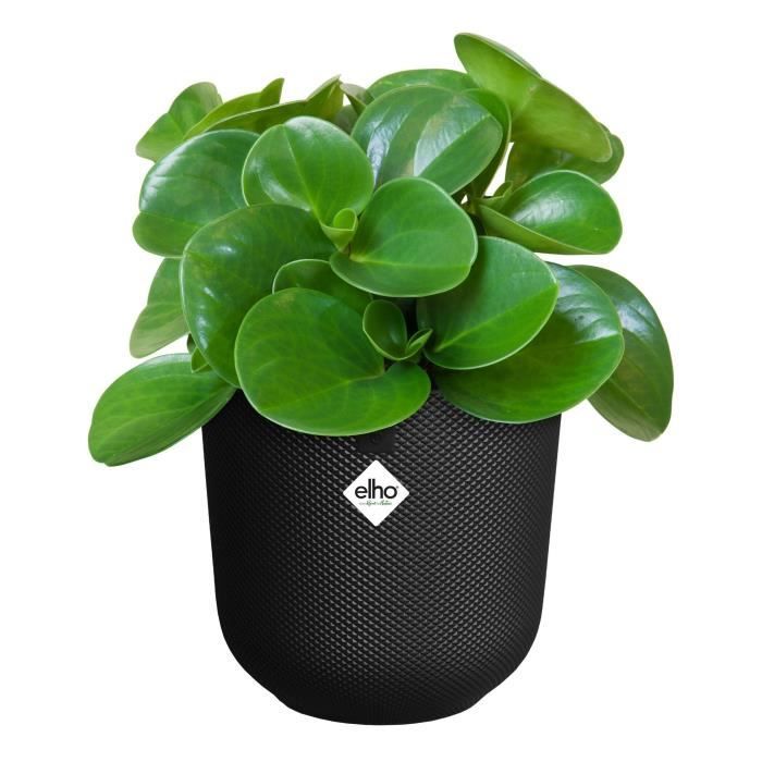 Vaso da fiori - Elho - Jazz Round - Nero -  26 x H 24 cm - Interno - 100% riciclato