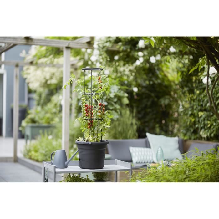 Vaso per pomodori ELHO Green Basics - 33 cm - Nero brillante