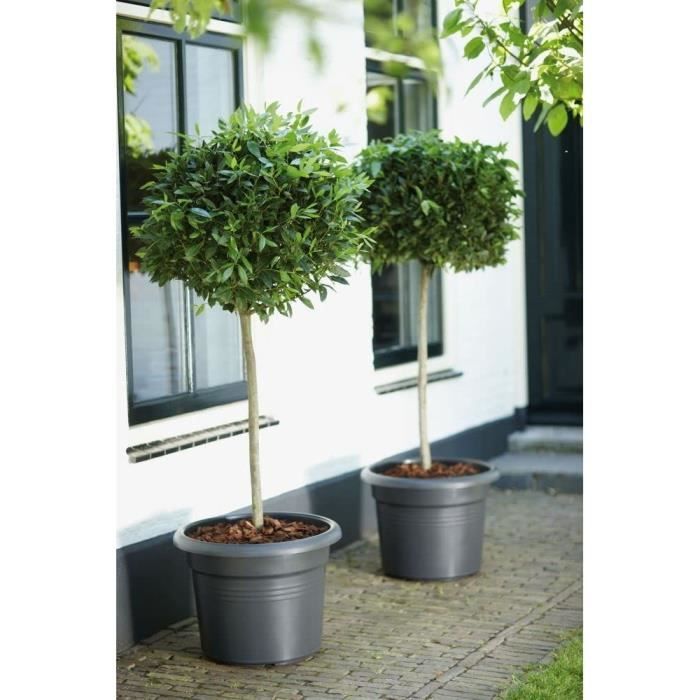 Nozioni di base verde rotonda pentola di fiori - Plastica - 45 - Terracotta morbida