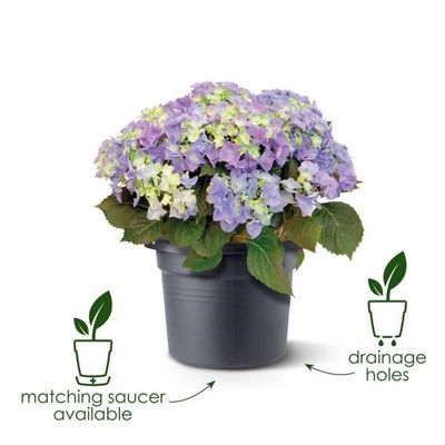 Fioriera Elho Green Basics Cilinder 65 - Nera -  64 x H 49 cm - da esterno - 100% riciclata
