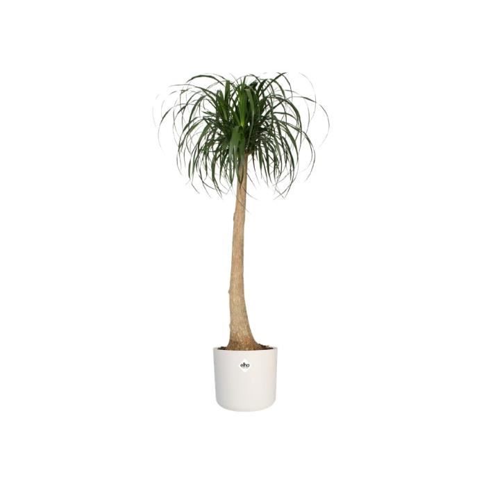 Vaso da fiori ELHO B.for Soft Round 35 - Bianco -  35 x H 32 cm - interno - 100% riciclato