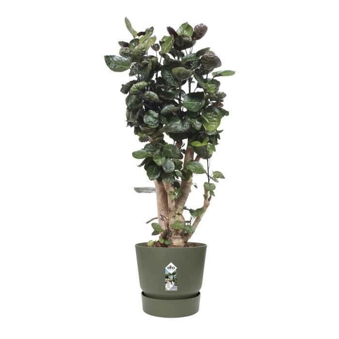 Vaso per fiori rotondo ELHO Greenville 47 - Esterno -  47 x H 44,1 cm - Verde foglia