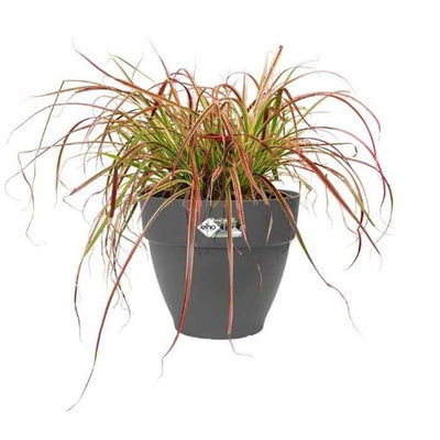 Elho Vibia Campana Fioriera Rotonda 55 - Nero -  55 x H 47 cm - da esterno - 100% riciclato