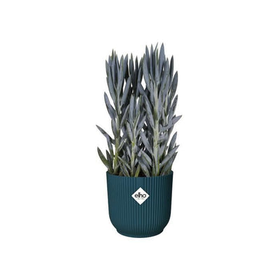 ELHO Vibes Fold Vaso da fiori rotondo Wheels 35 - Blu -  35 x H 32 cm - interno - 100% riciclato