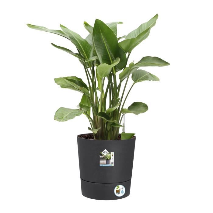 Elho Greensense Aqua Care Round 43 - Grigio -  43 x H 43 cm - interno/esterno - 100% riciclato