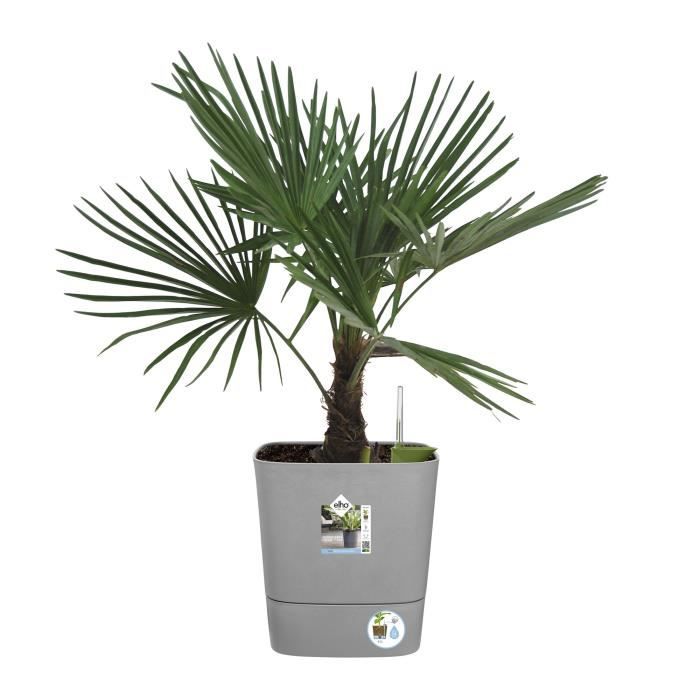 ELHO - Vaso da fiori - Greensense Aqua Care Square 38 - Cemento chiaro - Interno/esterno -  38 x H 38,9 cm