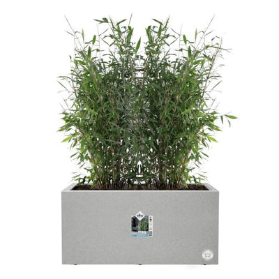 Elho Vivo Next Long 80 Fioriera - Grigio - L 78 x P 39 x H 38 cm - interno/esterno - 100% riciclato