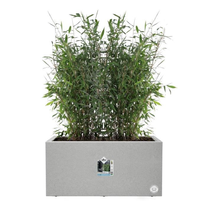 Elho Vivo Next Long 80 Fioriera - Grigio - L 78 x P 39 x H 38 cm - interno/esterno - 100% riciclato