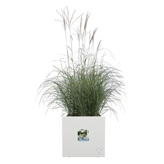 Elho Vivo Next Square 30 Fioriera - Bianco -  30 x H 29 cm - da interno/esterno - 100% riciclato