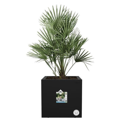 Elho Vivo Next Square 30 Fioriera - Nero -  30 x H 29 cm - da interno/esterno - 100% riciclato