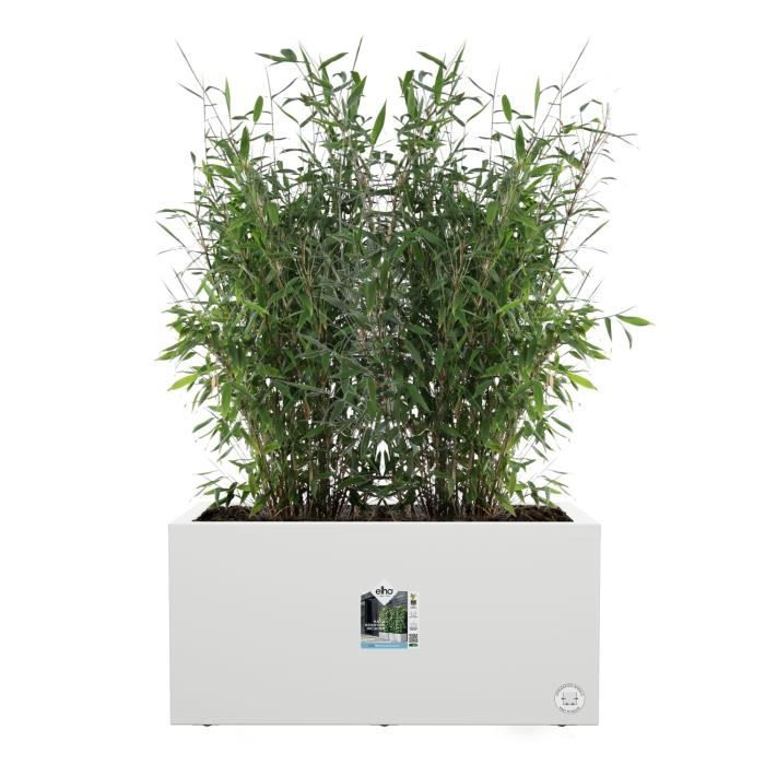 Elho Vivo Next Long 60 Fioriera - Bianco - L 59 x P 30 x H 29 cm - interno/esterno - 100% riciclato