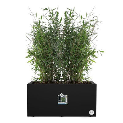 Elho Vivo Next Long 60 Fioriera - Nero - L 59 x P 30 x H 29 cm - interno/esterno - 100% riciclato