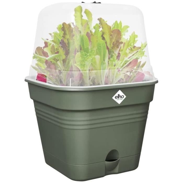 Pentola di fiori quadrati di base verde - plastica - serbatoio - 20 - verde foglia
