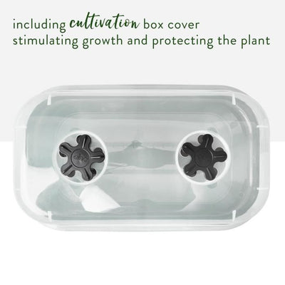 Vassoio per coltivazione ELHO Green Basics Allin1 L - Nero - L 39 x P 23 x H 15 cm - coltivazione e raccolta - 100% riciclato