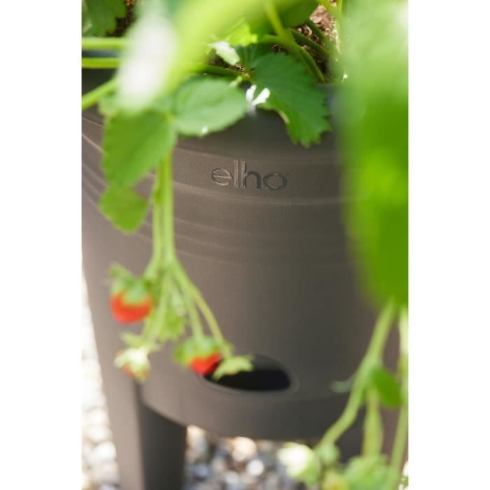 ELHO Green Basics Vaso per fragole 33 - Nero -  33 x H 42 cm - coltivazione e raccolta all&