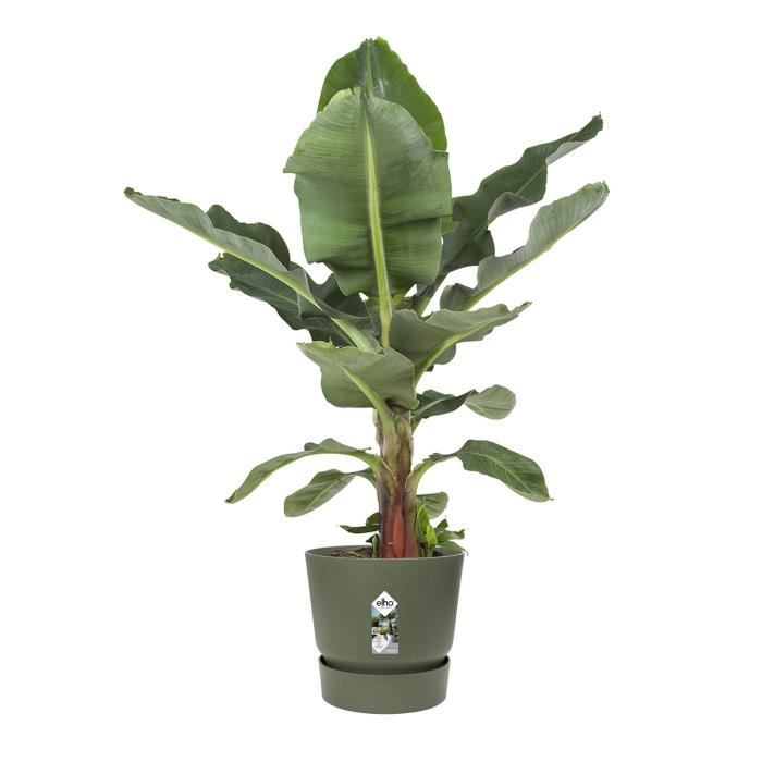 Vaso da fiori rotondo ELHO Greenville 55 - Verde -  55 x H 50 cm - da esterno - 100% riciclato