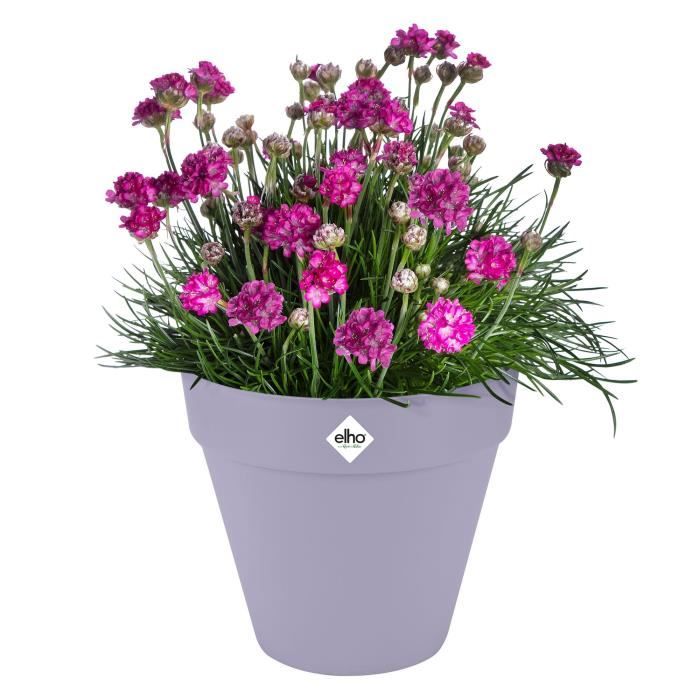 Vaso da fiori - Elho - Loft Urban Round - Ruote 40 - Viola - L 39 x P 38,5 x A 35 cm - Esterno - 100% riciclato