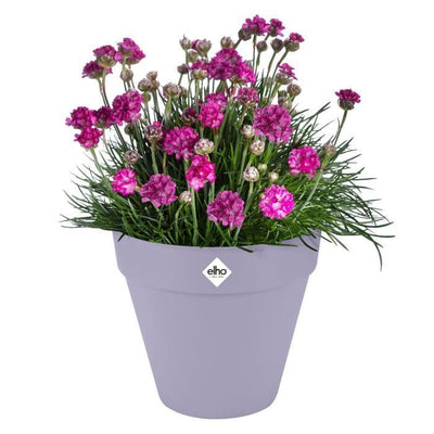 Vaso da fiori - Elho - Loft Urban Round - Ruote 50 - Viola - L 49 x P 48,5 x A 45 cm - Esterno - 100% riciclato